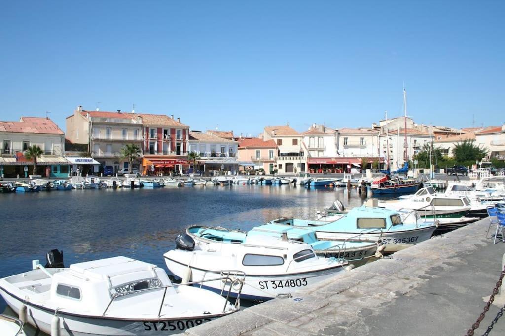 Appartement Cosy A 50 M De La Plage Et Du Port メーズ エクステリア 写真