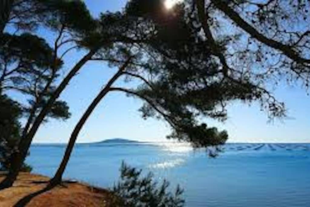 Appartement Cosy A 50 M De La Plage Et Du Port メーズ エクステリア 写真